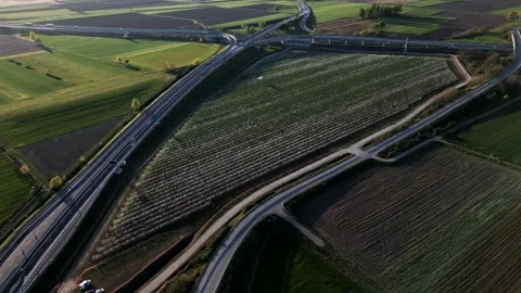Panoramic view, field line of apple trees in flowering. Spring season Stock Footage 334932834
