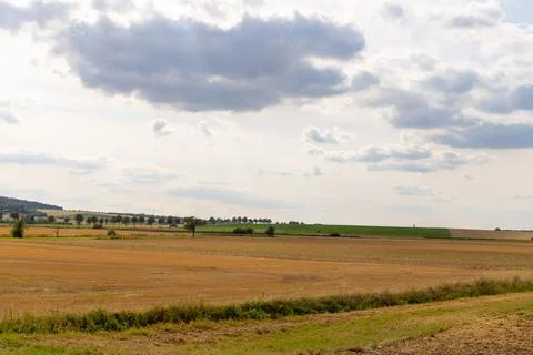 Panoramic view of a field with trees in row and straw roll Stock Photos