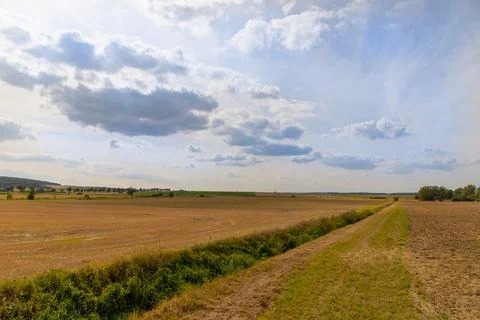 Panoramic view of a field with trees in row and straw roll Stock Photos