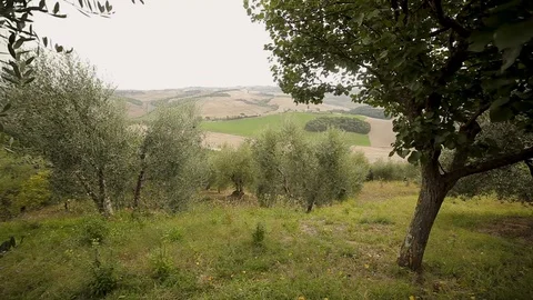 Panoramic view of the fields Stock Footage 94525362