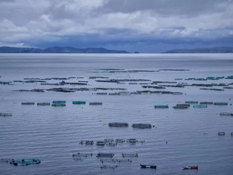 Panoramic view of fish breeding cages in the sea Stock Photos