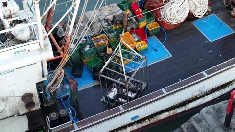Panoramic view of the fish market 스톡 동영상 306040344