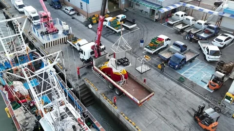 Panoramic view of the fish market Video stock 306040346