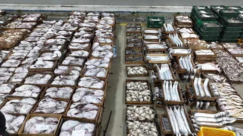 Panoramic view of the fish market Video stock 306040349