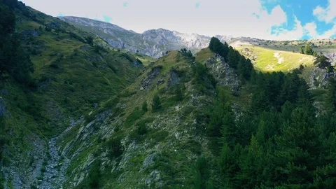 Panoramic view flight over the mountains covered with dense forest in summer day 스톡 동영상 114798192