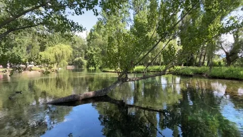 Panoramic view of Fonti del Clitunno lake in Umbria Stock Footage 244938339