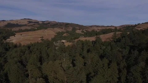 Panoramic View of a Forest from Above 库存影片 99019366