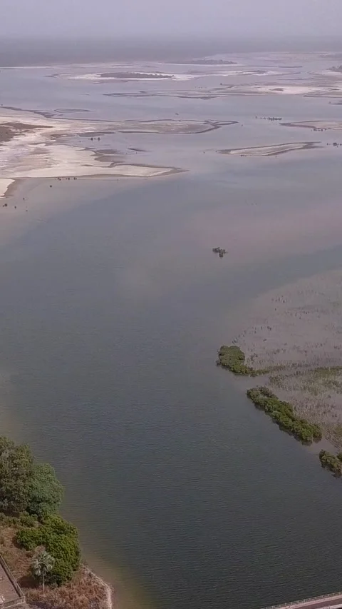 Panoramic view of forest and marshland around village in Senegal Stock Footage 230669276