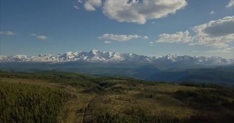 Panoramic view of  forest and mountains Stock Footage 101881224