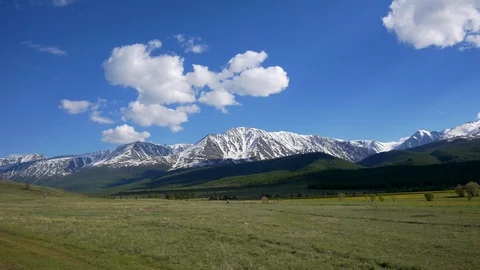 Panoramic view of  forest and mountains Stock Footage 101881471