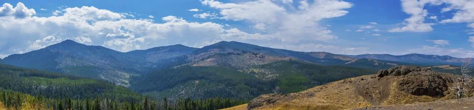 Panoramic view of forest fire damage and recovery from roadside in Yellowstone Stock Photos