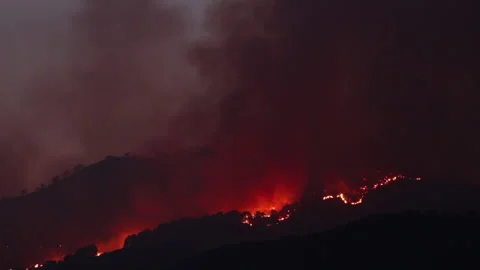 Panoramic view of a forest fire at night, heavy smoke causes air pollution. Stock Footage 133203384