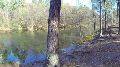Panoramic view on the forest lake Stock-Footage 42897278