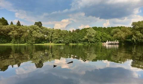 Panoramic view of the forest lake with a marble bridge Stock Photos