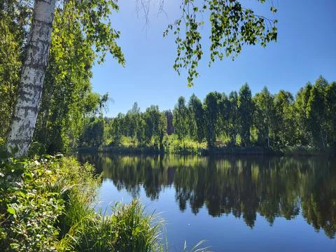 Panoramic view of forest lake with mirror reflection of trees Stock Photos