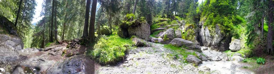 Panoramic view of a forest from Mount Bucegi on summer Stock Photos
