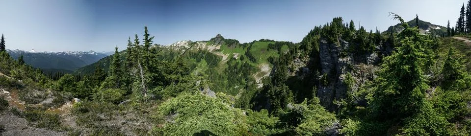 A panoramic view of a forest with a mountain in the background Stock Photos