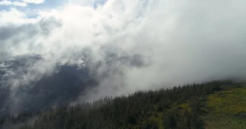 Panoramic view of the forest in the mountains in the smoke Stock Footage 97445055
