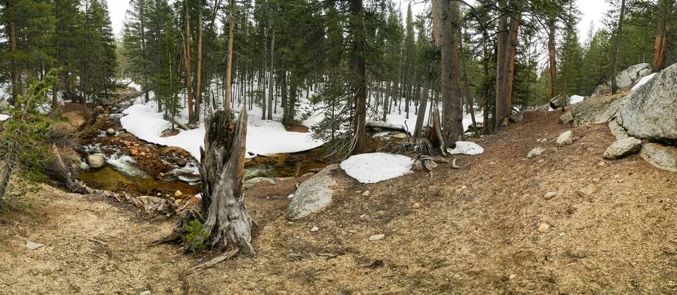 A panoramic view of a forest with a river running through it Stock Photos