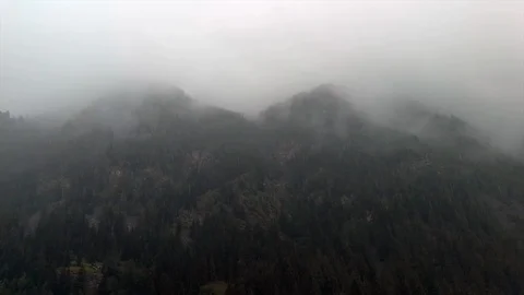 Panoramic view of a forest in the valley of Gressoney while raining Stock Footage 94757715