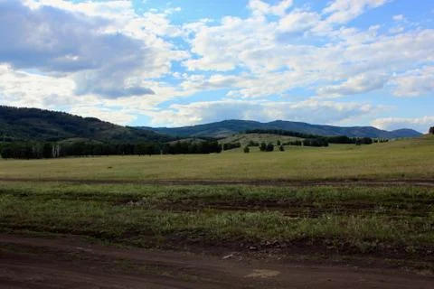 Panoramic view. Forests and fields. Green grass. Blue sky. Summer. Relax Stock-Fotos