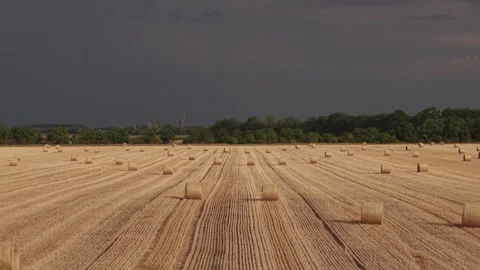A panoramic view of a freshly harvested wheat field covered with round hay Stock Footage 340567355