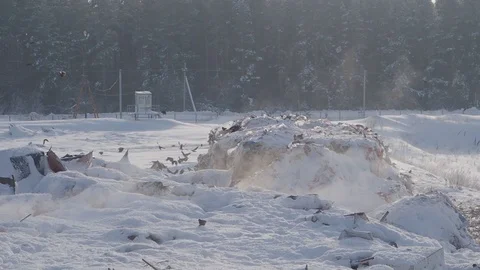 Panoramic view of garbage dump in winter in winter forest, Russia Stock Footage 101949031