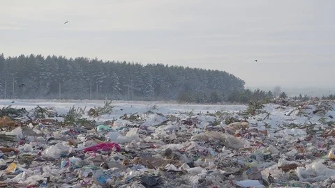 Panoramic view of garbage dump in winter in winter forest, Russia Stock Footage 101949194