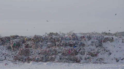 Panoramic view of garbage dump in winter in winter forest, Russia Stock Footage 101949431
