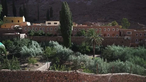 Panoramic view of garden inside Saint Catherine Monastery in Egypt desert Stock Footage 254208889