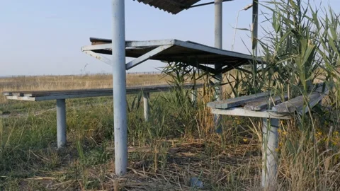 The panoramic view of gazebo outdoors Stock Footage 90754048