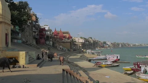 Panoramic view on ghats of The Ganges river in Varanasi, India Stock Footage 83745599