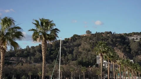 Panoramic view of Gibralfaro hill and palm trees on Muelle Uno in Malaga Stock Footage 240097522