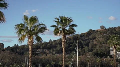 Panoramic view of Gibralfaro hill from Muelle Uno promenade in Malaga, Spain Stock Footage 240015260