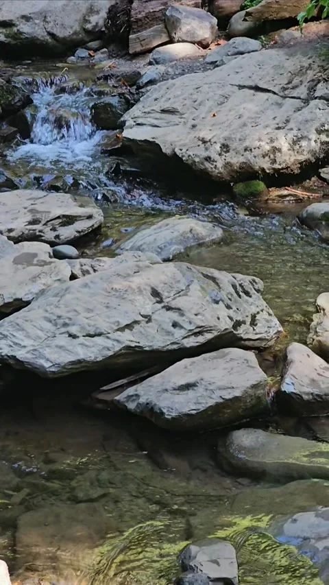 Panoramic View of Glacier River Between Snow-Capped Peaks Video stock 312694073