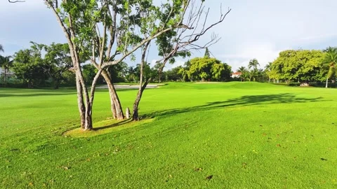 Panoramic view of the golf course with green grass and palm trees. Stock Footage 253851489