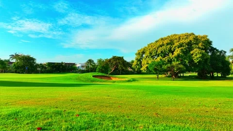 Panoramic view of the golf course with green grass and trees. Stock Footage 264052525