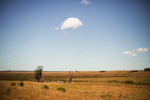 Panoramic view of a grass field on a clear day Stock Photos