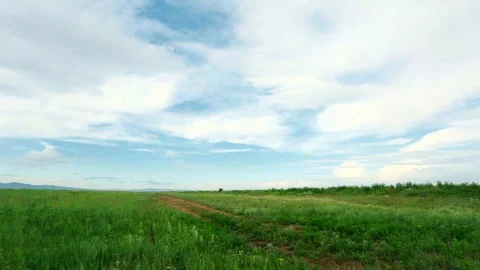 Panoramic view of grassland under cloudy sky Stock Footage 103086302