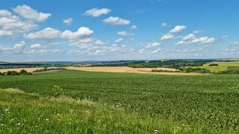 Panoramic view of green agricultural fields with patches of yellow Stock Photos