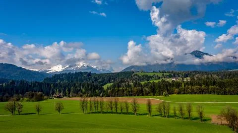 Panoramic view on green Austrian meadow field Stock Photos