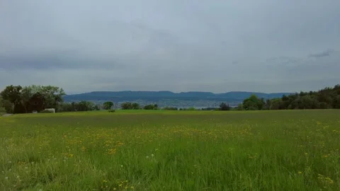 Panoramic view of a green dandelion field under a cloudy grey sky Stock Footage 334870592