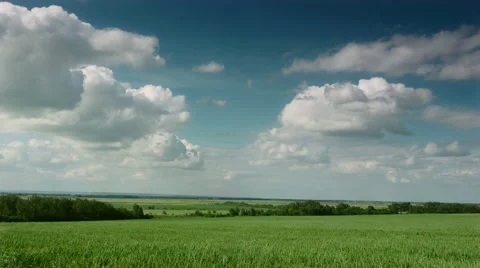 Panoramic view of green field of wheat Stock Footage 50518230