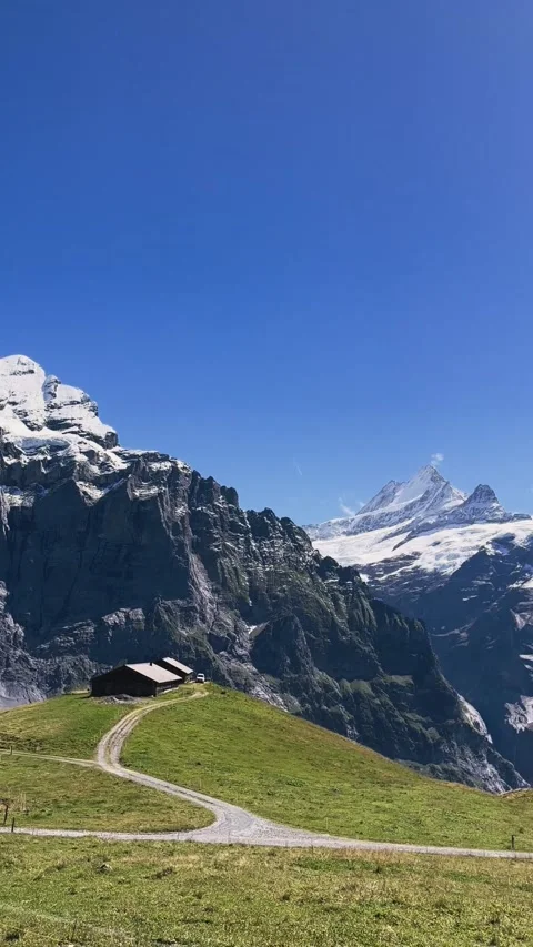Panoramic View of Green Fields and Snowy Peaks in Grindelwald Stock Footage 329250519