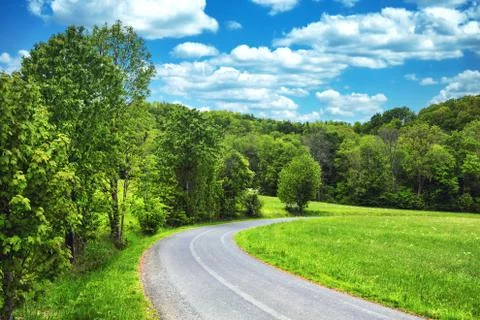 Panoramic view of green fields and trees and small road Stock Photos