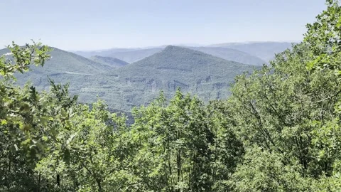 Panoramic view of green hills and mountains 스톡 동영상 345159276