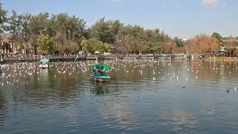Panoramic view of Green Lake Park in Kunming Stock Footage 71575095