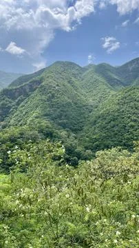 Panoramic view of the green mountain Stock Photos