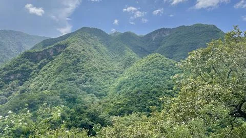 Panoramic view of the green mountain Stock Photos