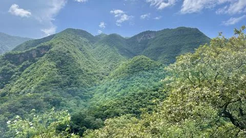 Panoramic view of the green mountain Stock Photos